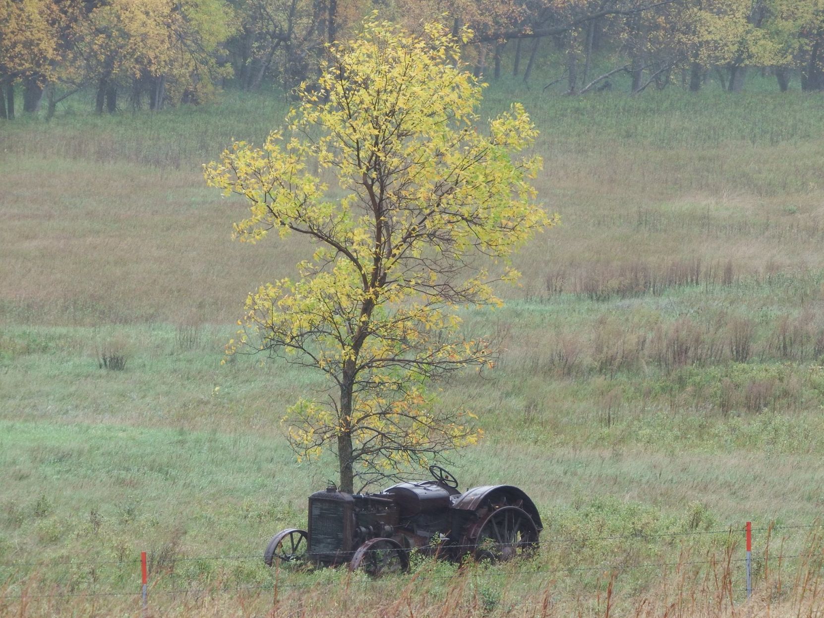Put Out To Pasture